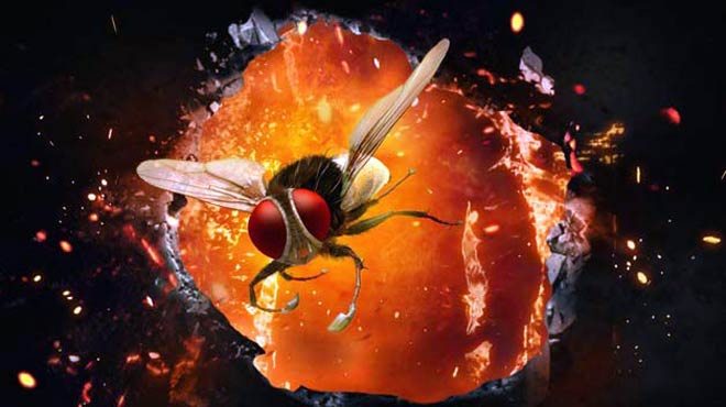 makkhi eega hindi telugu movie