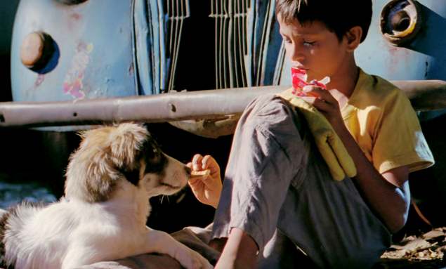Chillar party film for dog lovers best Hindi film