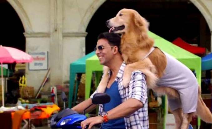 10 Best Bollywood Movies for Animal Lovers You Must Watch (Updated)