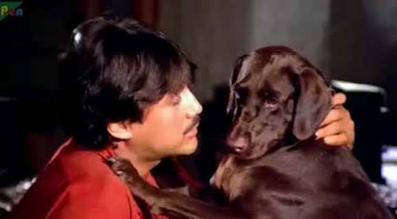 10 Best Bollywood Movies for Animal Lovers You Must Watch (Updated)
