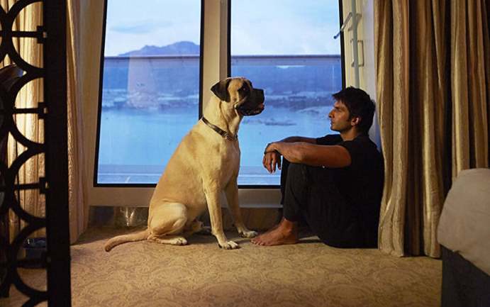 film for dog lovers pluto Dil Dhadakne Do Ranveer Singh