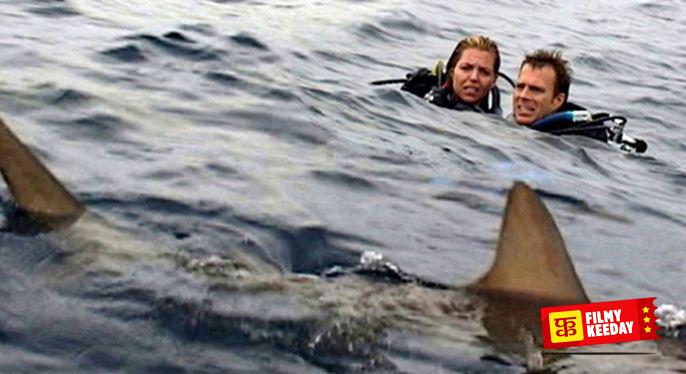 Open Waters 2003 shark attack film