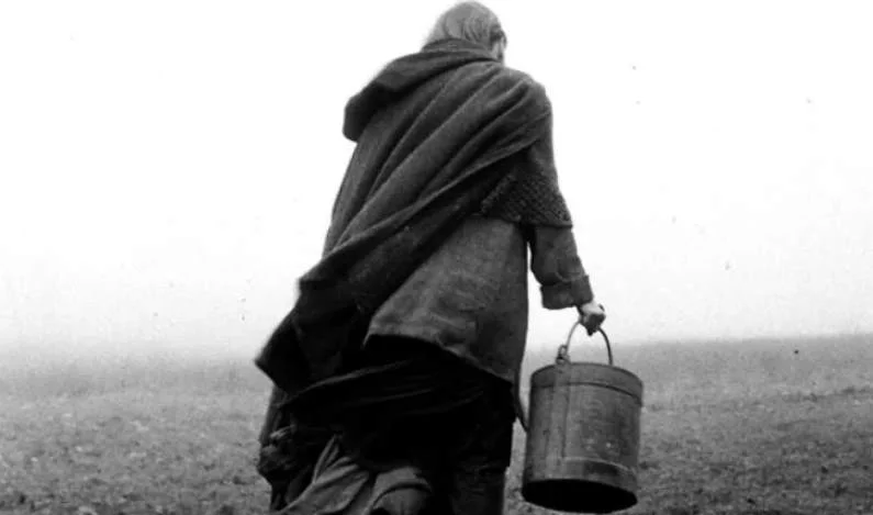 The-Turin-Horse-Best
