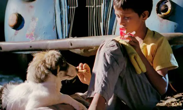 Chillar party film for dog lovers best Hindi film