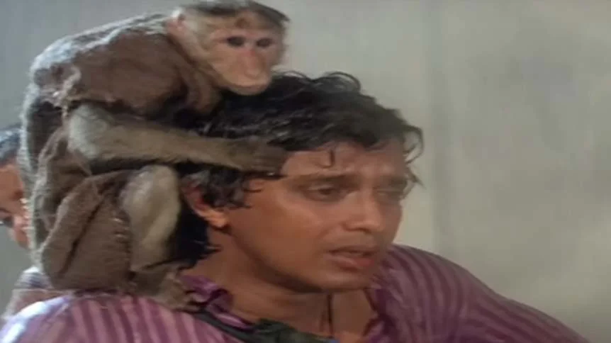 Parivaar best films for animal lovers in Bollywood