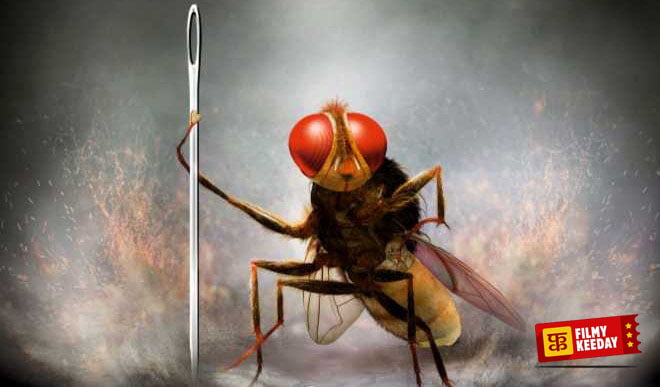 Eega Makkhi SS Rajamouli