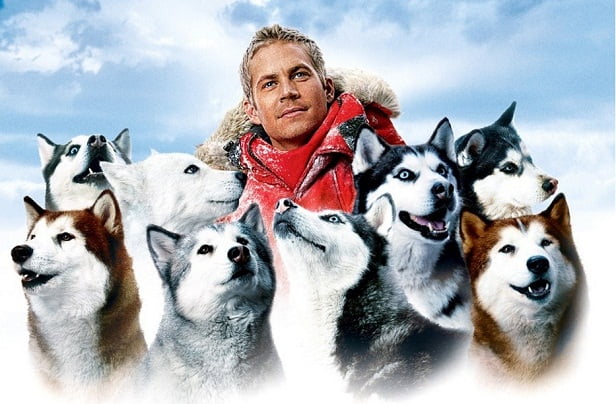 Eight Below film for dog lovers