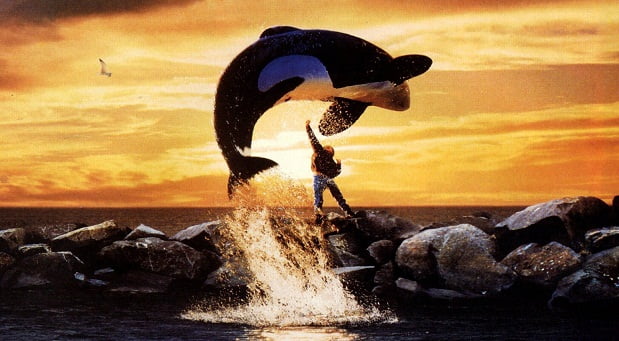 Free willy movies for sea lovers and animal lovers