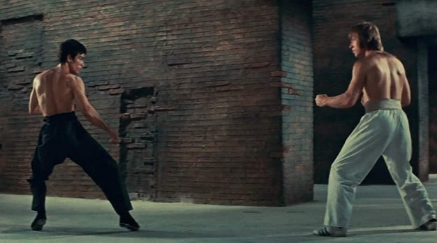 20 Best Martial Arts Movies Of All Time You Should not Miss