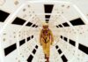 Space Oddysy 2001