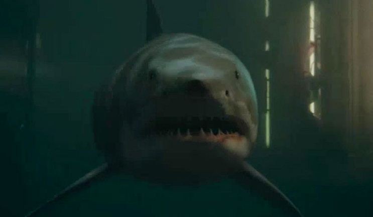 Bait 3D shark attack films