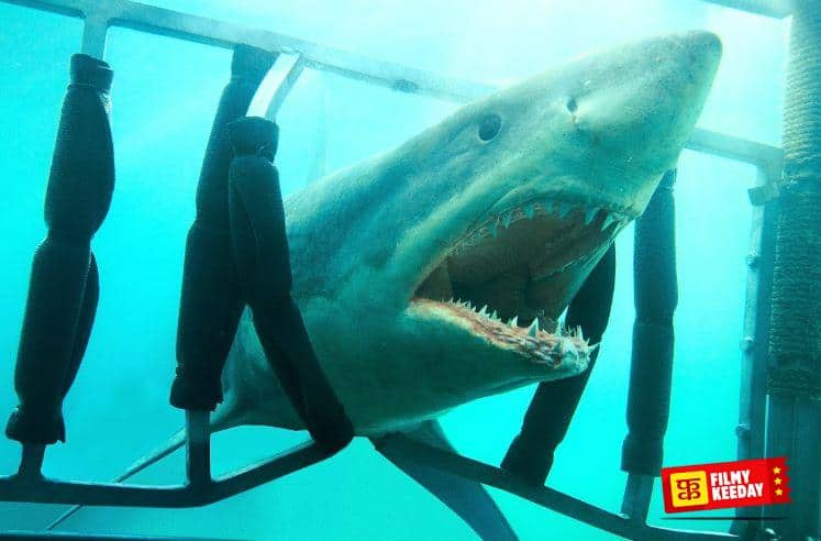 Shark Night 2011 3D movie on shark attack