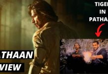 Pathaan Review Tiger entry