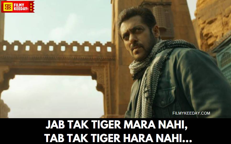 Tiger 3 Superhit Dialogues Salman Khan