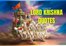 Lord Krishna Lines