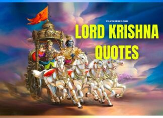 Lord Krishna Lines